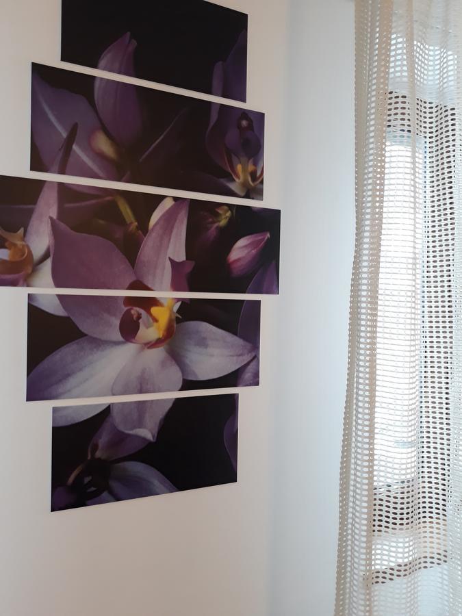 Studio S. Apartman Brassó Kültér fotó